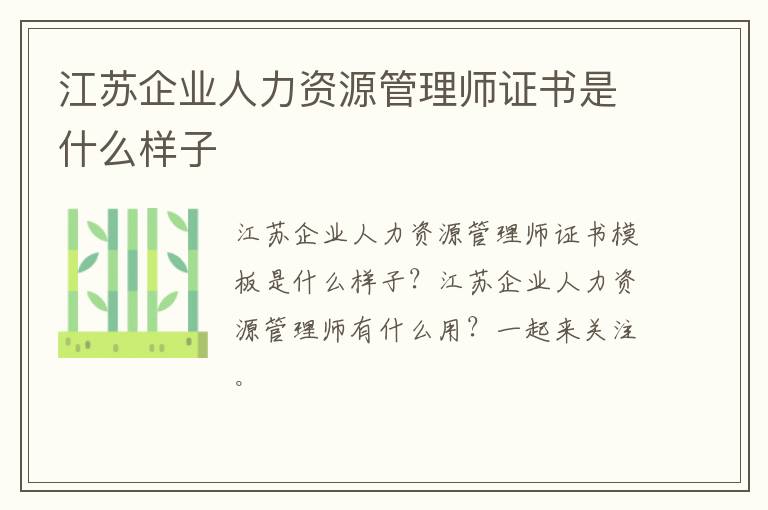 江苏企业人力资源管理师证书是什么样子