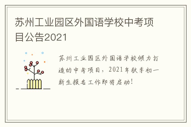 苏州工业园区外国语学校中考项目公告2021