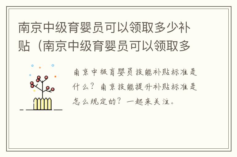 南京中级育婴员可以领取多少补贴（南京中级育婴员可以领取多少补贴金）