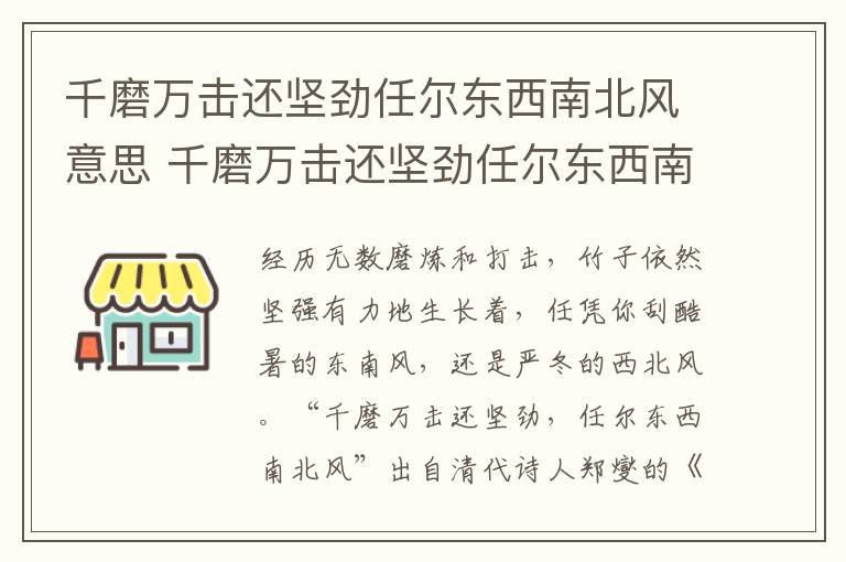 千磨万击还坚劲任尔东西南北风意思 千磨万击还坚劲任尔东西南北风意思翻译