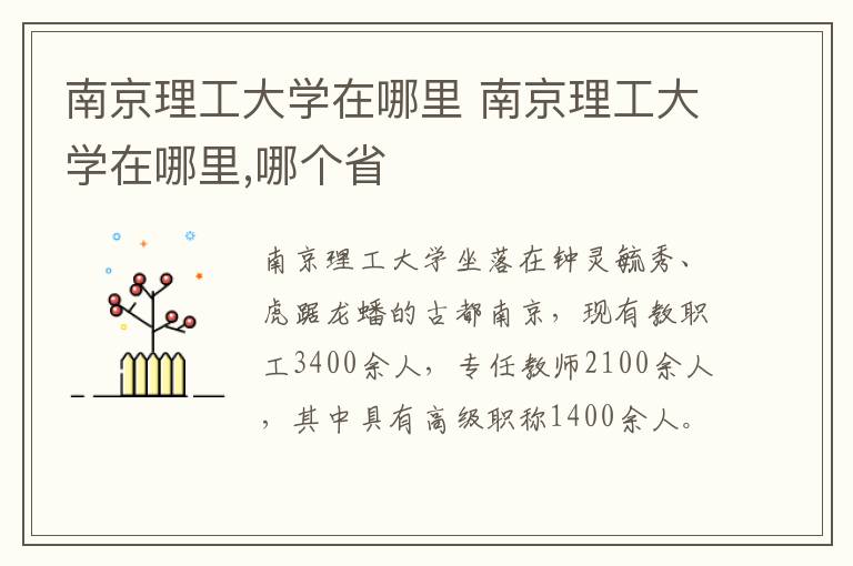 南京理工大学在哪里 南京理工大学在哪里,哪个省