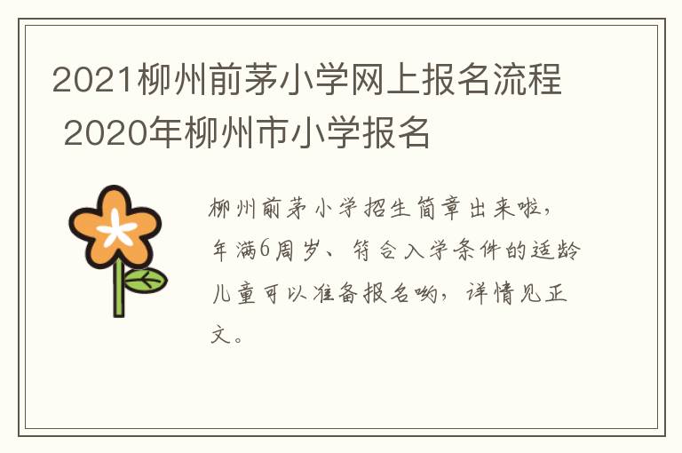 2021柳州前茅小学网上报名流程 2020年柳州市小学报名