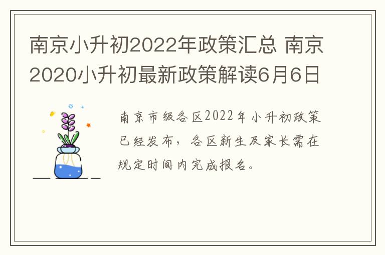 南京小升初2022年政策汇总 南京2020小升初最新政策解读6月6日