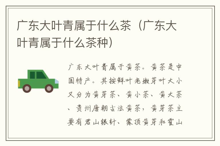 广东大叶青属于什么茶（广东大叶青属于什么茶种）