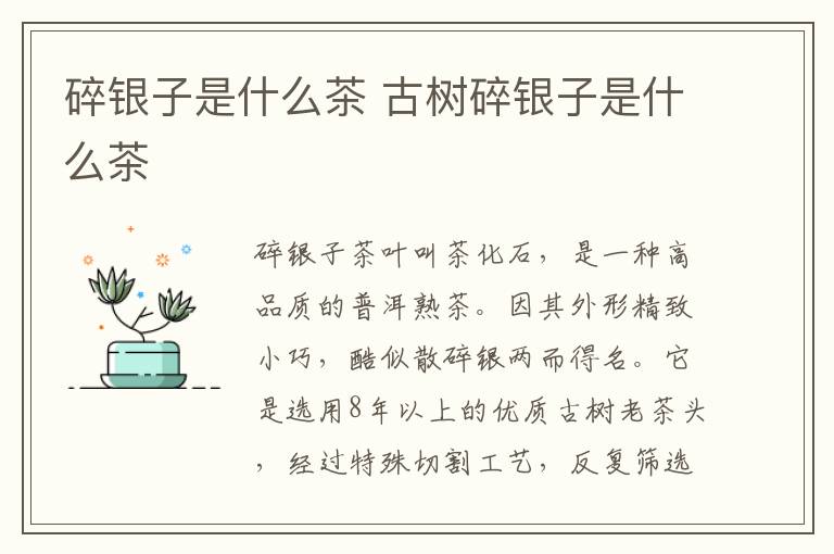 碎银子是什么茶 古树碎银子是什么茶