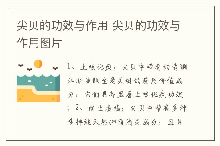 尖贝的功效与作用 尖贝的功效与作用图片