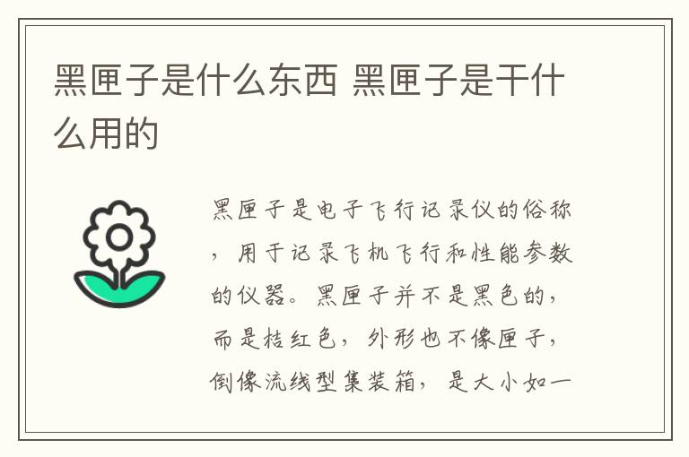 黑匣子是什么东西 黑匣子是干什么用的