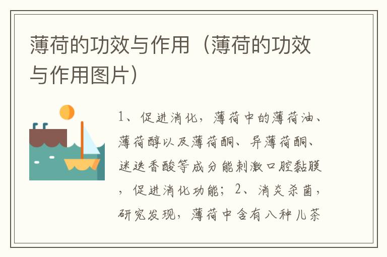 薄荷的功效与作用（薄荷的功效与作用图片）