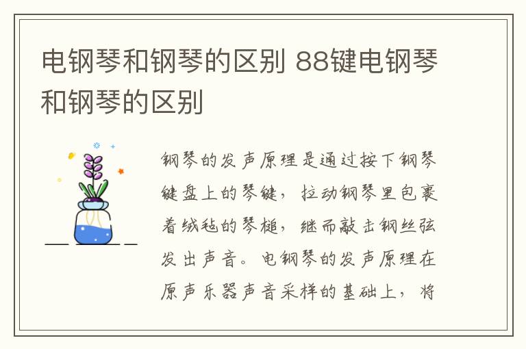 电钢琴和钢琴的区别 88键电钢琴和钢琴的区别
