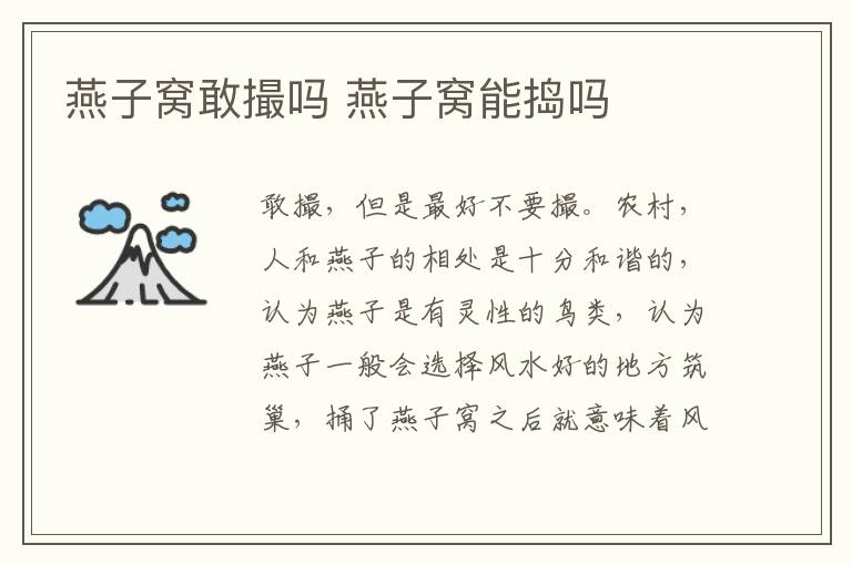 燕子窝敢撮吗 燕子窝能捣吗