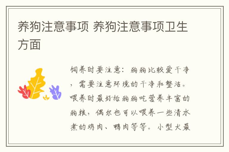 养狗注意事项 养狗注意事项卫生方面