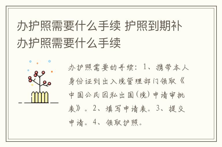 办护照需要什么手续 护照到期补办护照需要什么手续