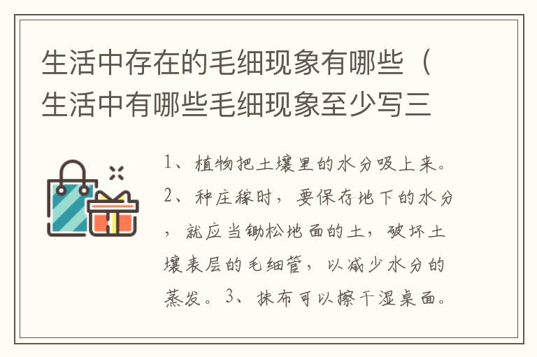 生活中存在的毛细现象有哪些（生活中有哪些毛细现象至少写三点）