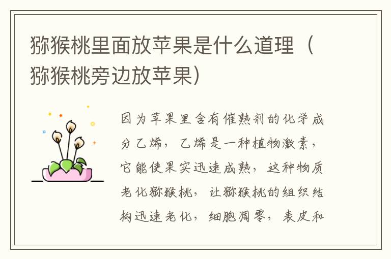 猕猴桃里面放苹果是什么道理(猕猴桃旁边放苹果)