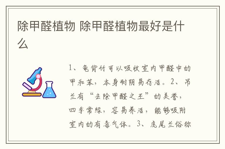 除甲醛植物 除甲醛植物最好是什么