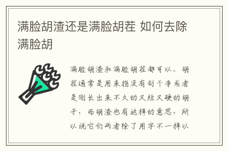满脸胡渣还是满脸胡茬 如何去除满脸胡