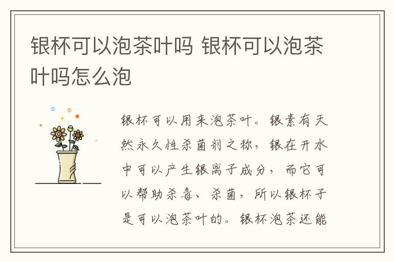 银杯可以泡茶叶吗 银杯可以泡茶叶吗怎么泡
