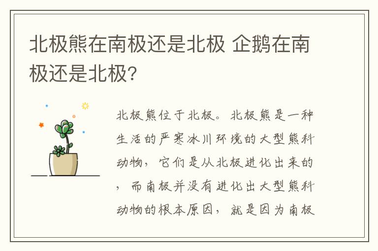 北极熊在南极还是北极 企鹅在南极还是北极?