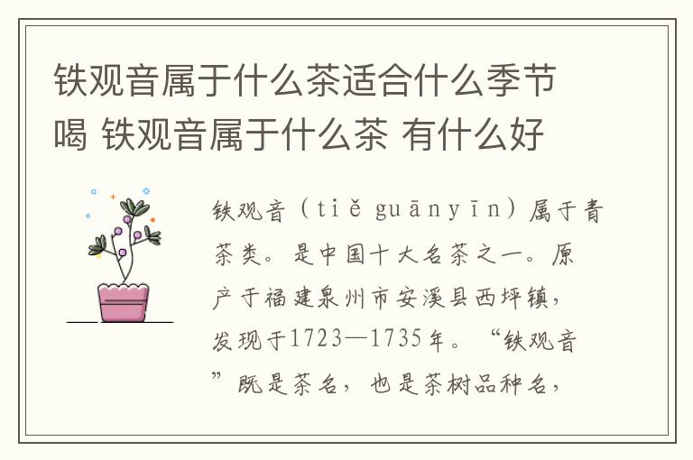 铁观音属于什么茶适合什么季节喝 铁观音属于什么茶 有什么好处