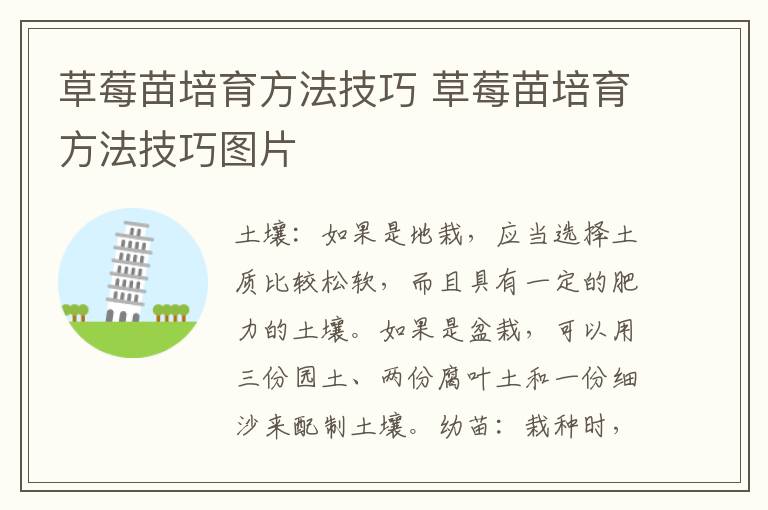 草莓苗培育方法技巧 草莓苗培育方法技巧图片