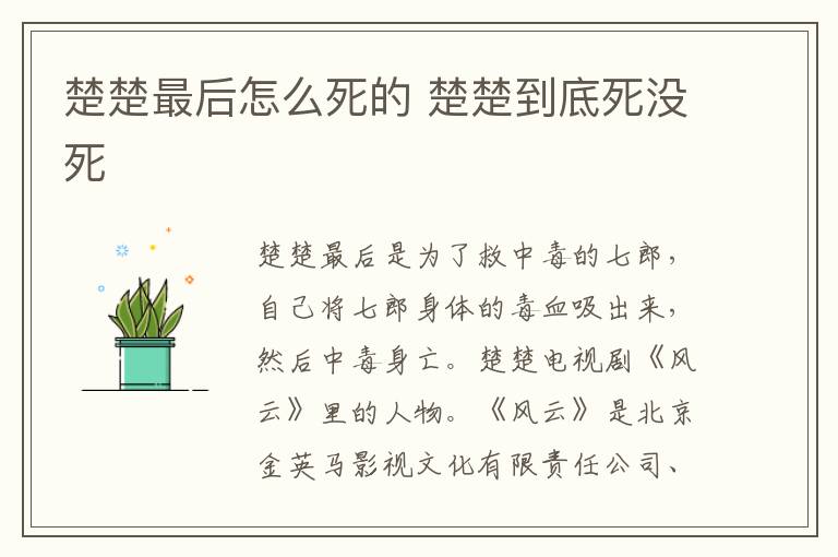 楚楚最后怎么死的 楚楚到底死没死
