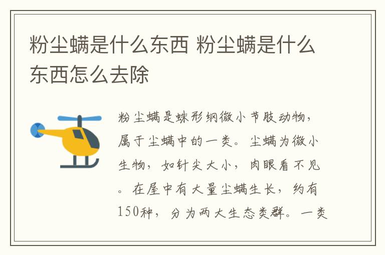 粉尘螨是什么东西 粉尘螨是什么东西怎么去除