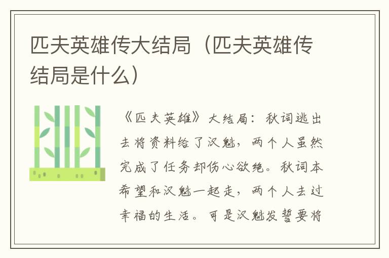 匹夫英雄传大结局（匹夫英雄传结局是什么）