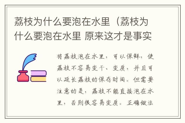 荔枝为什么要泡在水里(荔枝为什么要泡在水里 原来这才是事实真相)
