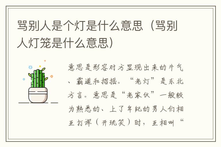 骂别人是个灯是什么意思（骂别人灯笼是什么意思）