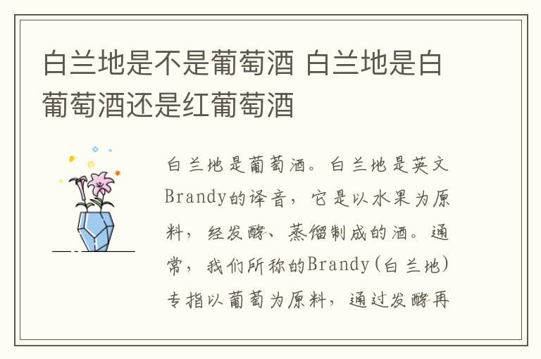 白兰地是不是葡萄酒 白兰地是白葡萄酒还是红葡萄酒