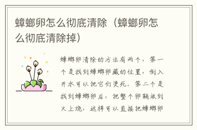 蟑螂卵怎么彻底清除（蟑螂卵怎么彻底清除掉）