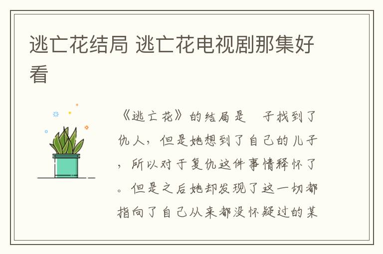 逃亡花结局 逃亡花电视剧那集好看