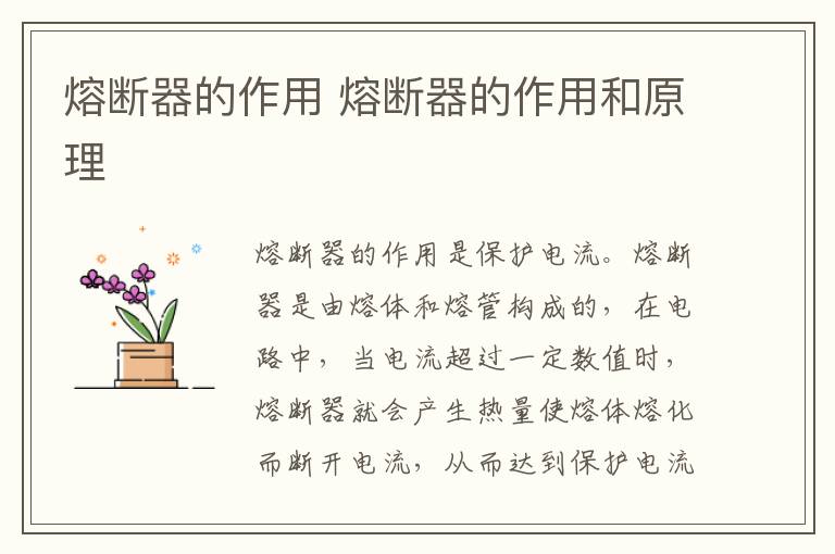 熔断器的作用 熔断器的作用和原理
