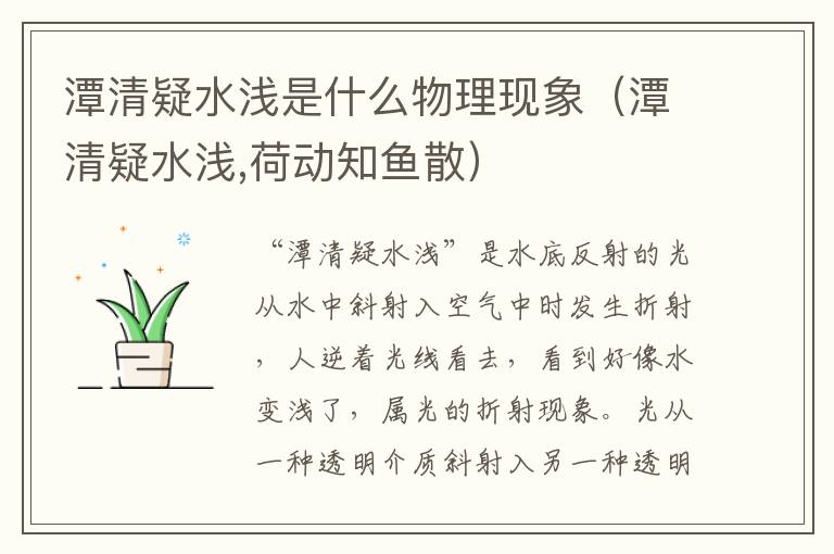 潭清疑水浅是什么物理现象（潭清疑水浅,荷动知鱼散）