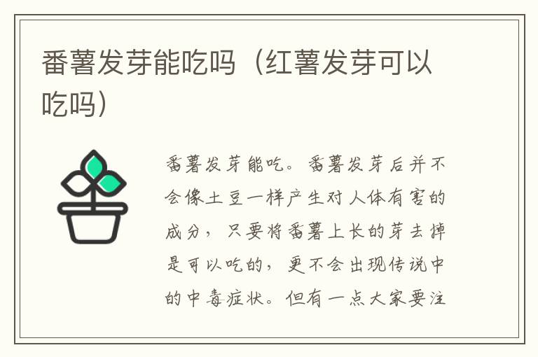 番薯发芽能吃吗（红薯发芽可以吃吗）