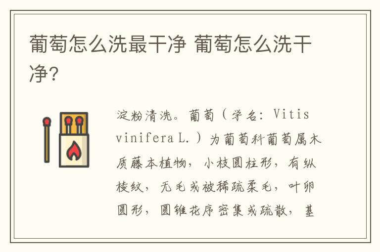 葡萄怎么洗最干净 葡萄怎么洗干净?