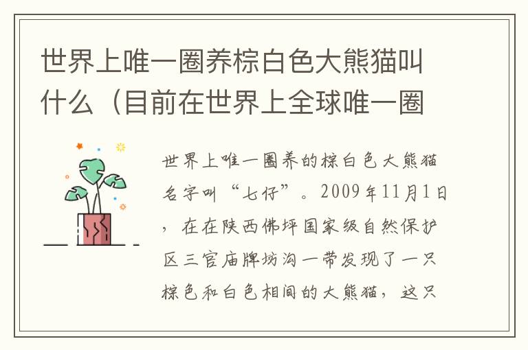 世界上唯一圈养棕白色大熊猫叫什么(目前在世界上全球唯一圈养棕白色大熊猫叫什么)