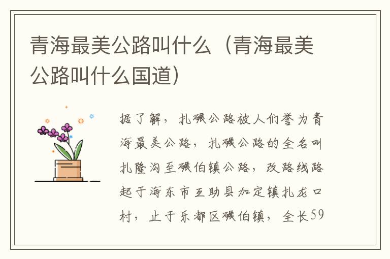 青海最美公路叫什么(青海最美公路叫什么国道)