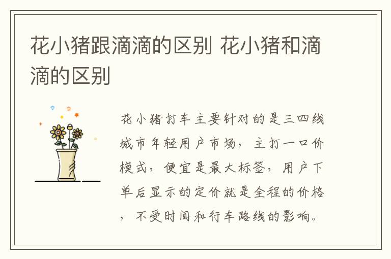 花小猪跟滴滴的区别 花小猪和滴滴的区别