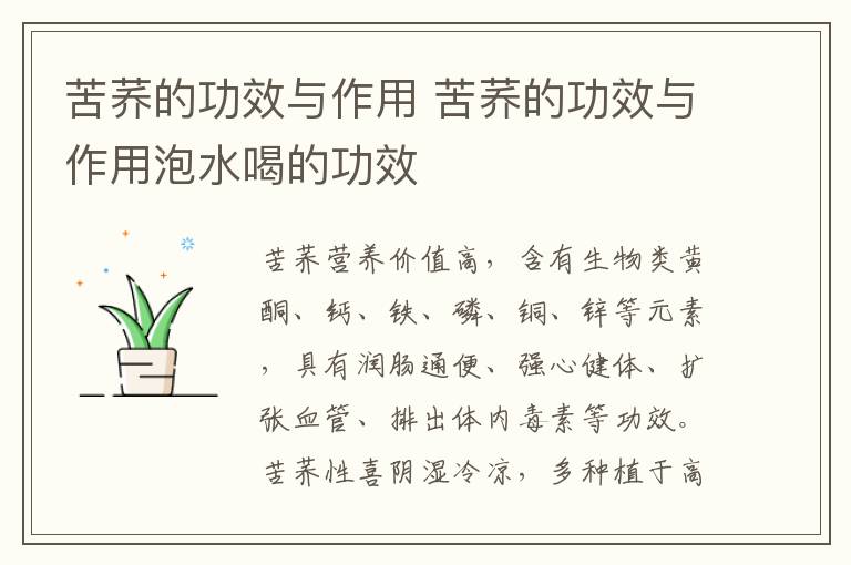 苦荞的功效与作用 苦荞的功效与作用泡水喝的功效