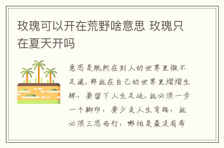 玫瑰可以开在荒野啥意思 玫瑰只在夏天开吗