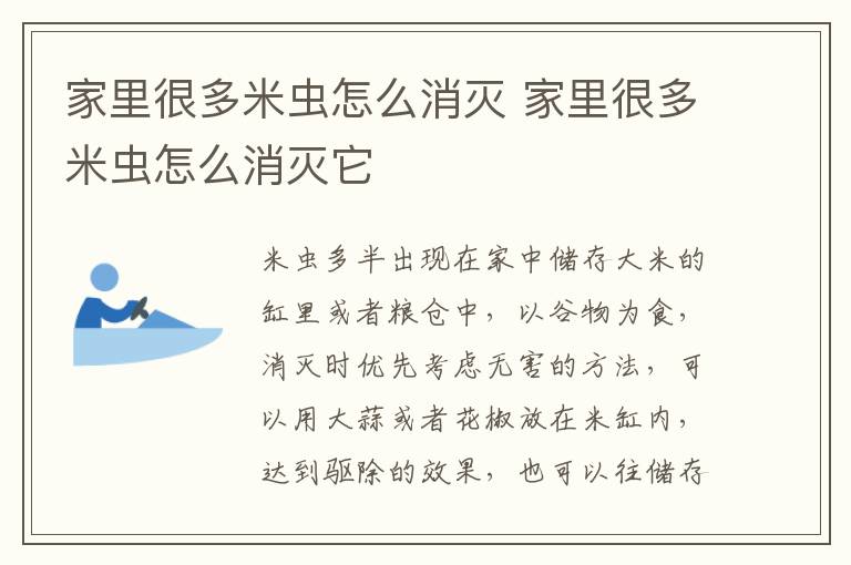 家里很多米虫怎么消灭 家里很多米虫怎么消灭它