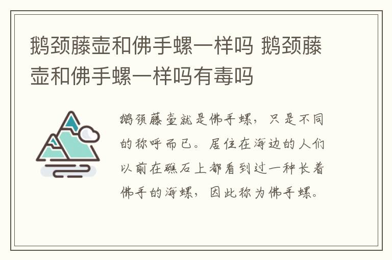 鹅颈藤壶和佛手螺一样吗 鹅颈藤壶和佛手螺一样吗有毒吗