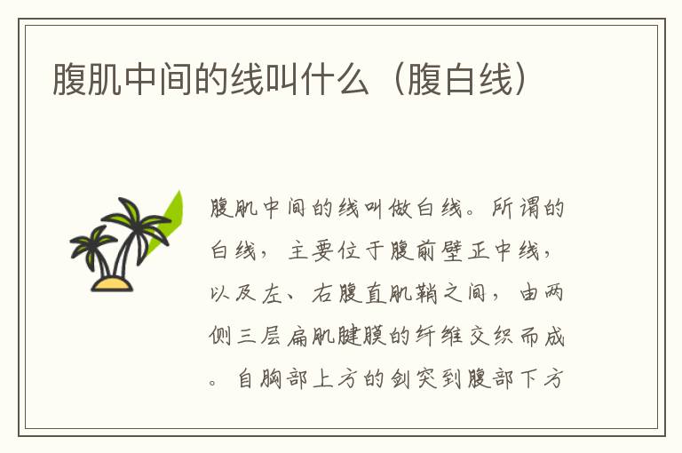 腹肌中间的线叫什么（腹白线）