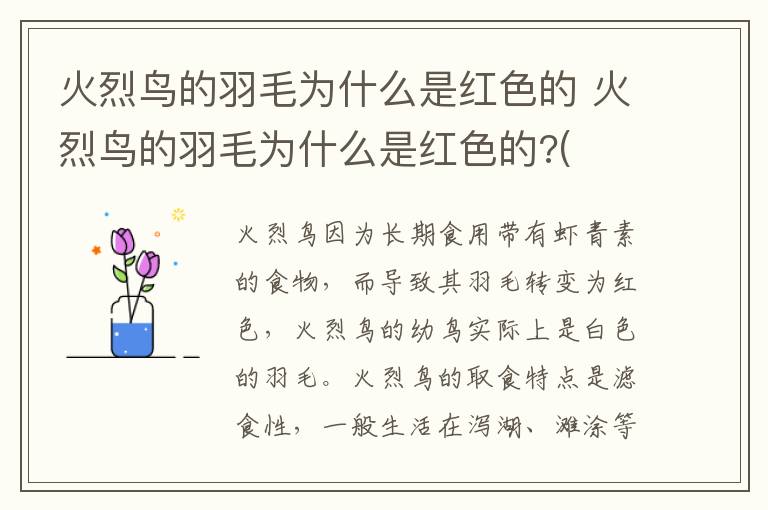 火烈鸟的羽毛为什么是红色的 火烈鸟的羽毛为什么是红色的?(