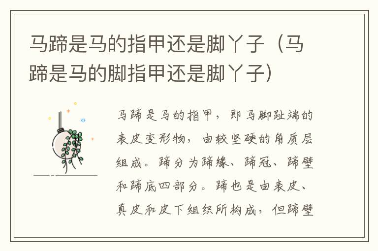 马蹄是马的指甲还是脚丫子(马蹄是马的脚指甲还是脚丫子)