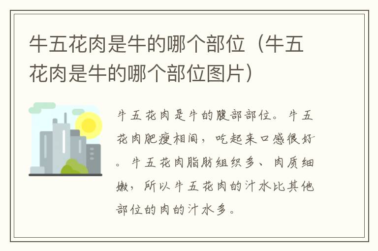 牛五花肉是牛的哪个部位（牛五花肉是牛的哪个部位图片）