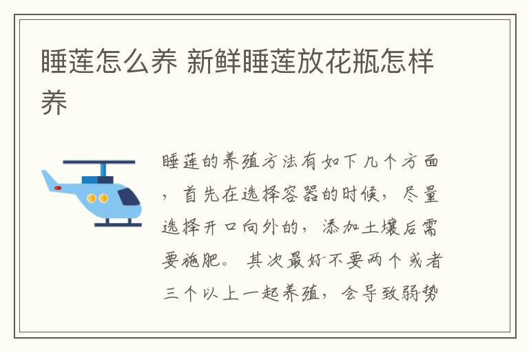 睡莲怎么养 新鲜睡莲放花瓶怎样养