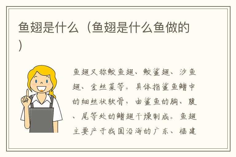 鱼翅是什么（鱼翅是什么鱼做的）