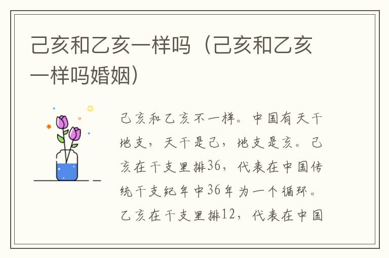 己亥和乙亥一样吗（己亥和乙亥一样吗婚姻）